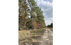 PID # 0028125 FM 705, Broaddus, TX 75929