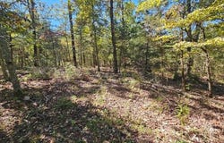 Rolling Hills Block 11 Lot 22, Theodosia, MO 65761