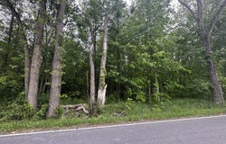 0 E 1300 N, Chesterton, IN 46304