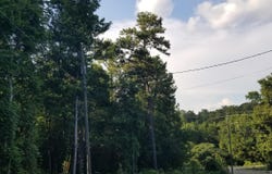 13100 Hwy 174 POPLAR DRIVE, ODENVILLE, AL 35120