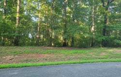 HARNESS, LOUISA, VA 23093