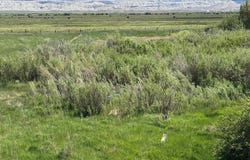 Bluemel Sub Lot 4, Mountain View, WY 82939