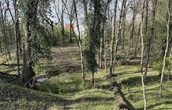 2445 Summit Drive, Henderson, KY 42420