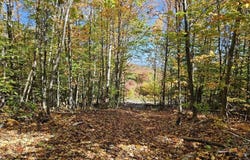 Moose Alley Road lot: 9 E, Temple, ME 04984