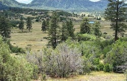 311 E Arbol Park Drive, Pagosa Springs, CO 81147