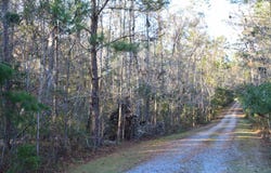 Flamingo Court, Monticello, FL 32344