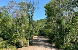 Lot 1 CR 417, Bolivar, NY 14715