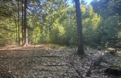 Map5/Lot53 Bangor Road, Troy, ME 04987