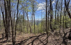 Mount Hope Rd, WV