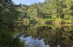 Lot 1 Marshall Road, Appling, GA 30802