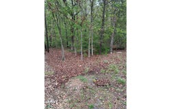 Duxford Circle lot: 7, Bella Vista, AR 72714