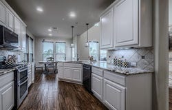 117 Arbor Point Dr, Elgin, TX 78621