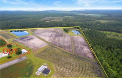 Lot 3 (51.47 Ac) Cody (Nichols, GA) Road, Other, GA 31554