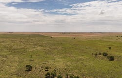 CR 525, Brownfield, TX 79316