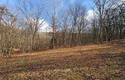 16 ROLLING ACRES Drive, OLD FIELDS, WV 26845