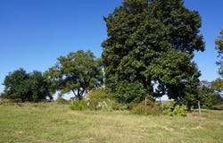 4301 Plainview Road, Naples, TX 75571