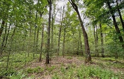 400 Cougar Lane, Leeper, PA 16233
