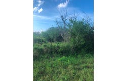 Anaqua, Beeville, TX 78102