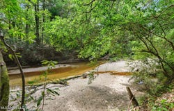 19639 Laterre Drive, Kiln, MS 39556