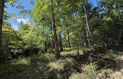 00 CAHABA HILL ROAD, BRIERFIELD, AL 35035