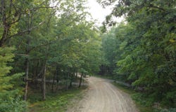 4681 Lake Road, Farwell, MI 48622