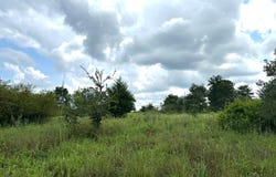 0001 E 1960 Rd, Antlers, OK 74523
