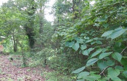 00 South Dixie Highway, Dalton, GA 30720