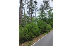 107 Lorick Circle, Lexington, SC 29072