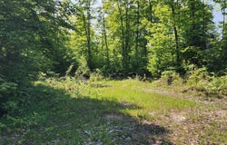 80 W Trophy Ln, Hessel, MI 49745