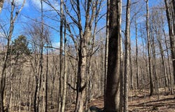366 Fullerville Rd, Harrisville, NY 13648