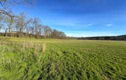 000 State Highway 90 (Tract 1), Pineville, MO 64856