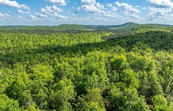 RPID   115120 CEDAR CREEK Road, Hot Springs, AR 71901