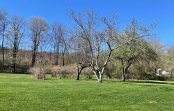 101 Country Lane, Portage, PA 15946