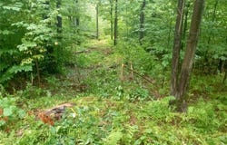 Scott Hollow Road, Bolivar, NY 14708