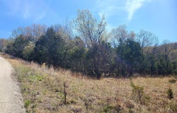 Lot 14 Hummingbird Hills, Branson, MO 65616