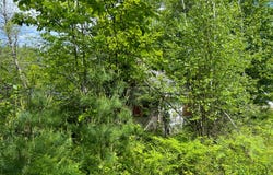 128 Common Road, Dixfield, ME 04224