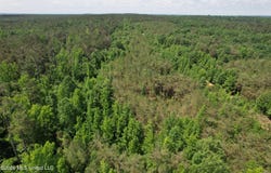 West Boulevard, West, MS 39192