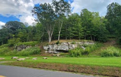 River Rd, Ronceverte, WV 24970