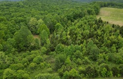 Lot 2 Duvall Rd, Caneyville, KY 42721