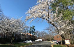 7629 TIVERTON DRIVE, SPRINGFIELD, VA 22152