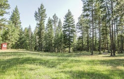 2559 United Copper Mine Rd, Chewelah, WA 99109