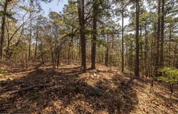 01 Hamilton Hill RD, Booneville, AR 72927