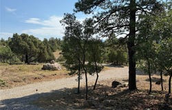 37 Rim Drive, Los Ojos, NM 87551