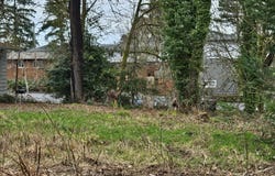 3rd St, Newberg, OR 97132