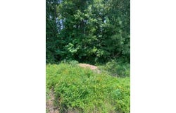 0 Bradley Road, Elliott, SC 29046