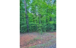 Lot 81 Sutters Ridge Road, McGrady, NC 28649