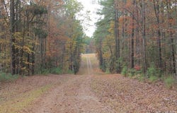 000 Woodsdale Drive, Alberta, VA 23821