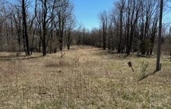 MOUNTAIN LAKE ESTATES - LOT 4, MOUNT STORM, WV 26739