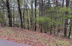 16 CARIBE WAY, Hot Springs Village, AR 71909
