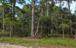 2375 Ocean Pearl Road lot: 13, Corolla, NC 27927